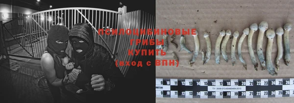 марки nbome Баксан