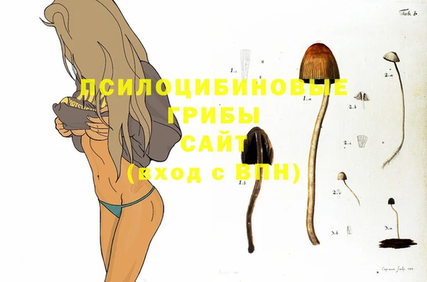 амфетамин Аркадак