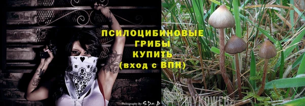 прущая мука Арсеньев