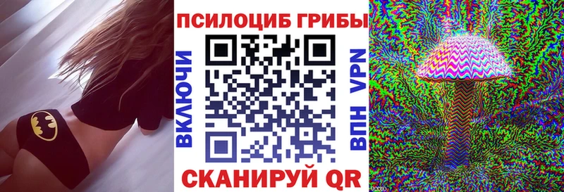 Псилоцибиновые грибы GOLDEN TEACHER Торопец