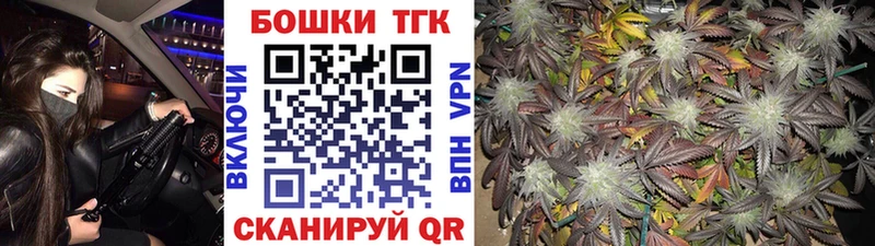 Купить закладки  Торопец  Каннабис сатива 